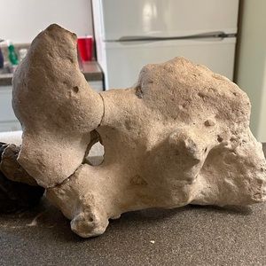 Beautiful sandstone creation.